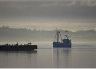 Now 100% of Danish mussel exports can carry the MSC ecolabel