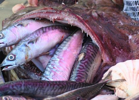 National Fisheries Institute seafood