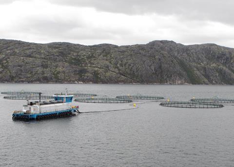 Russian Aquaculture, back on track