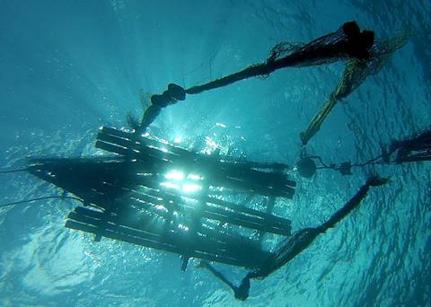 US now says it cannot afford to fish in PNA waters under the VDS scheme