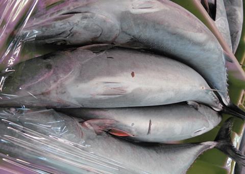 The measures aim to facilitate what ISSF calls continuous improvement across global tuna fisheries