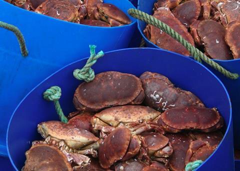 Shellfish stakeholders in England, Wales, NI and the Channel Islands are working together to promote a profitable future for the sector
