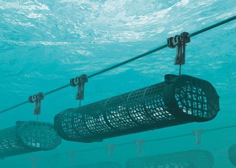 SEAPA is investing in promoting its products online Photo: SEAPA