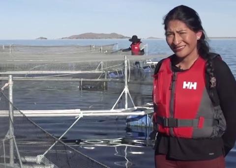 WSI video competition open to 2020 entries