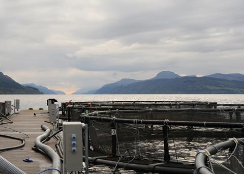 A virtual centre bringing together a vast amount of expertise on aquaculture related research has been launched at the University of Aberdeen