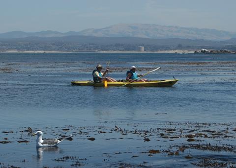 New analysis shows that the majority of US MPAs allow human uses, including fishing, swimming and kayaking. Credit: NOAA