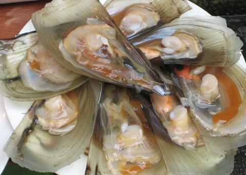 Text alert technology for shellfish harvesters is being tested. Credit Jessica King/Marine Photobank