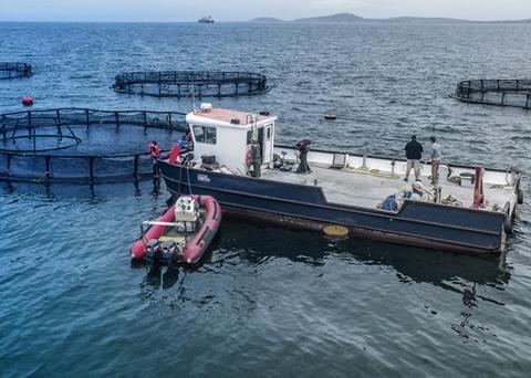 The Sea Harvest Group has seen headline earnings increase by 19% Photo: Sea Harvest Group