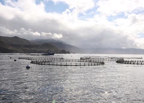 NOAA says that the majority of finfish farms are sustainable Photo: NOAA
