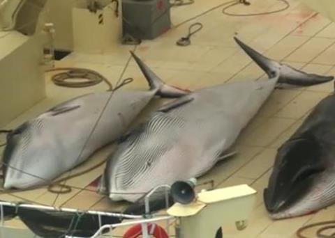 The images show whale carcasses on a Japanese ship deck