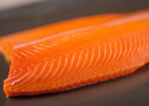 Ventisqueros will use BioMar´s Silverside Premium Coho Salmon Feed to produce a Premium Pacific Salmon