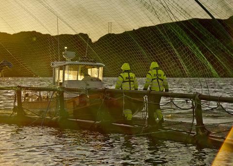Mowi strikes four-year agreement with AKVA