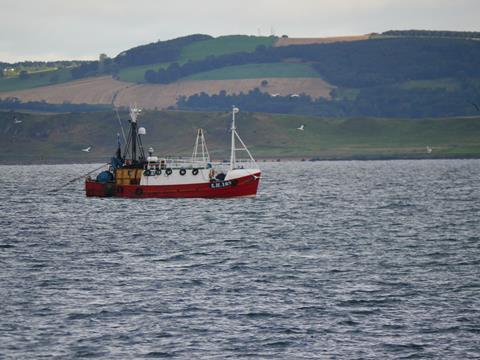 European TACs have been agreed for next year. Image supplied by Seafish: www.seafish.org