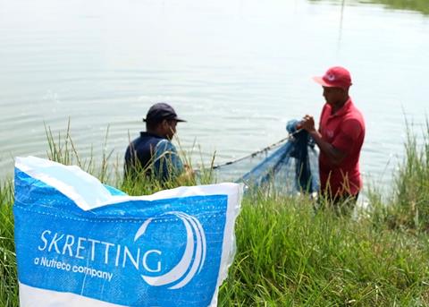 Skretting has released a dedicated grower feed for farmed tilapia Photo: Skretting
