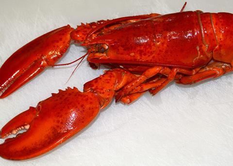 Some supermarkets have whole lobster on sale for less than £5 this Christmas
