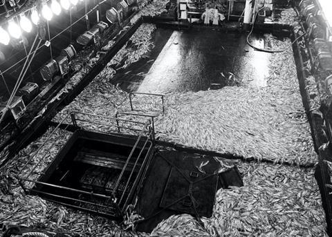 Falklands face Brexit crisis