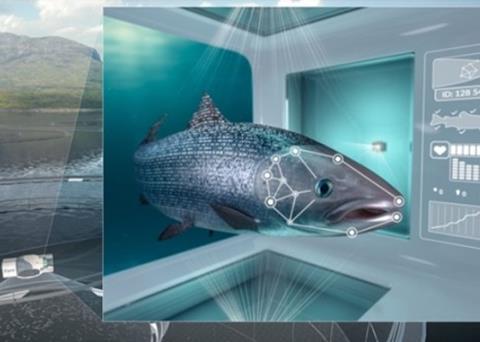 Cermaq to launch iFarm project in January