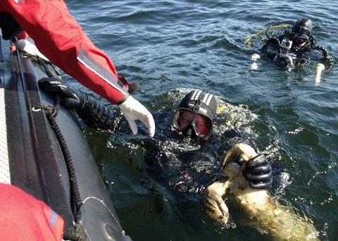 Retrieving dead grey seals (Halichoerus grypus), Bogskär, South of Åland Islands, Finland.