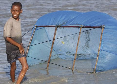 More than 400,000 people, mainly women and children, collect shrimp fry and represent the most vulnerable section in the supply chain. Credit: Environmental Justice Foundation/www.ejfoundation.org