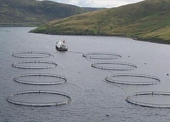 It is hoped the funding will help prepare the Scottish aquaculture industry for the future Photo: Scottish Environment Protection Agency