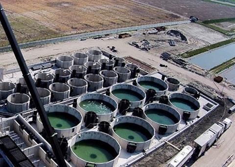 Is RAS ready to shine?