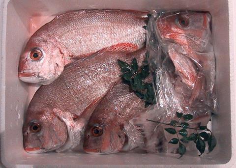 Red snapper. Credit: Chris 73/Wiki