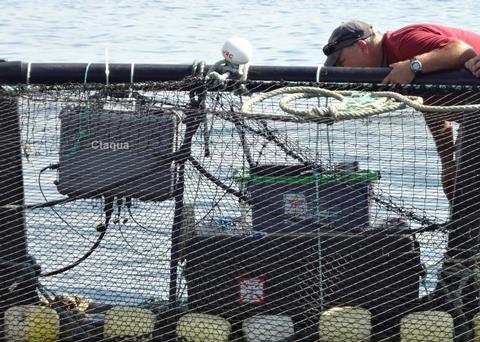 CTAQUA says the project will help prevent economic damage from incorrect measurements. Photo: CTAQUA