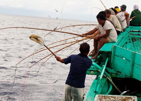 Eight Indonesian tuna fisheries have begun the MSC certification process Photo: IPNLF