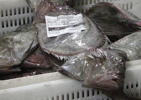 SOFIA gives clear warning of climate change