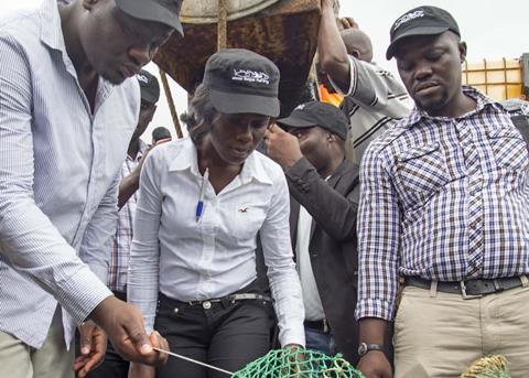 SIF is joining the IMCS Network as observer Photo: SIF