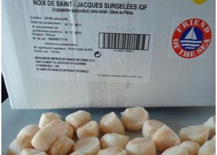 Cornic now supplies FOS scallops