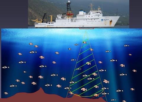 With active acoustics, beams of sound with specific characteristics are emitted from an instrument that reverberate from fish Photo: NOAA